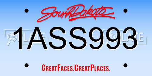 1ASS993 South Dakota License Plate
