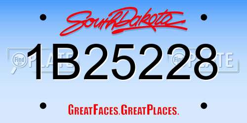 1B25228 South Dakota License Plate