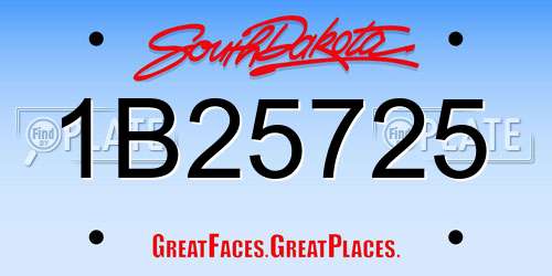 1B25725 South Dakota License Plate