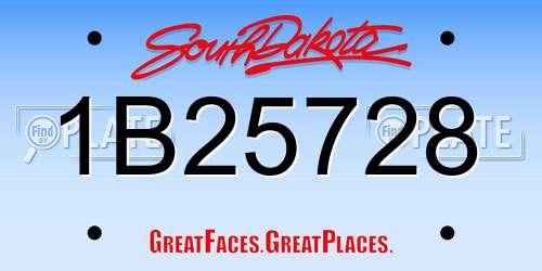 1B25728 South Dakota License Plate