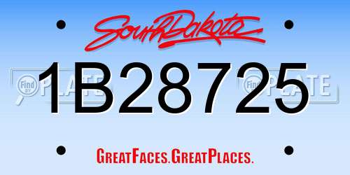 1B28725 South Dakota License Plate