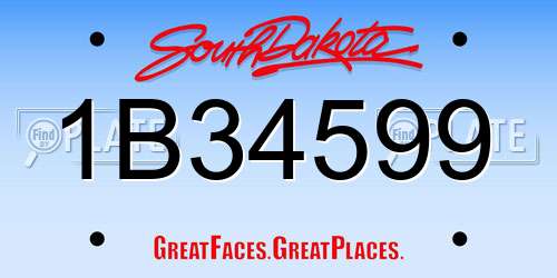 1B34599 South Dakota License Plate