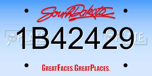 1B42429 South Dakota License Plate