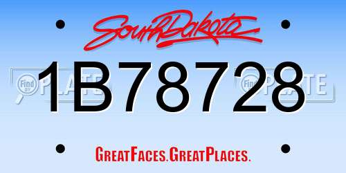 1B78728 South Dakota License Plate