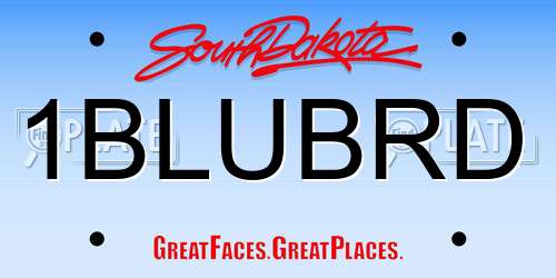 1BLUBRD South Dakota License Plate