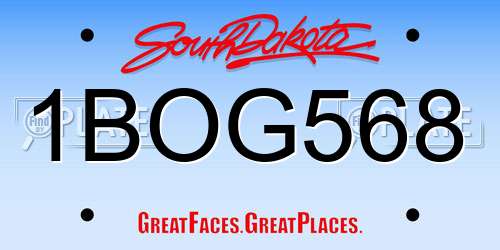 1BOG568 South Dakota License Plate