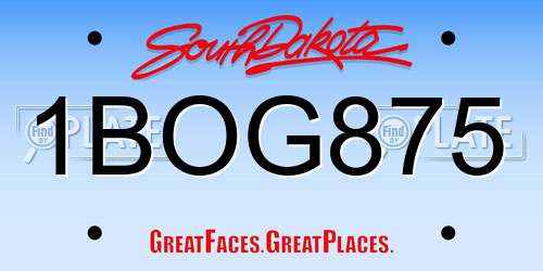 1BOG875 South Dakota License Plate