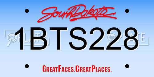 1BTS228 South Dakota License Plate