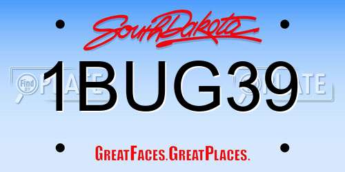 1BUG39 South Dakota License Plate