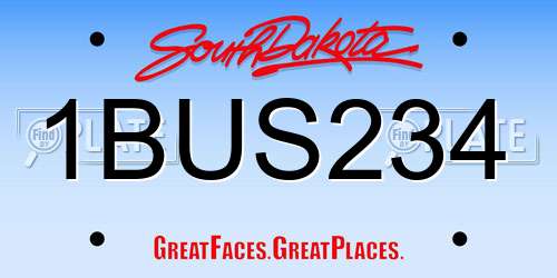 1BUS234 South Dakota License Plate