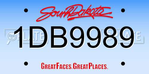 1DB9989 South Dakota License Plate