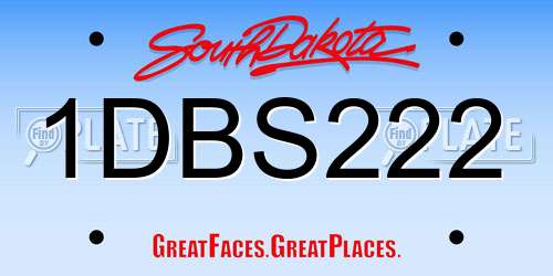 1DBS222 South Dakota License Plate