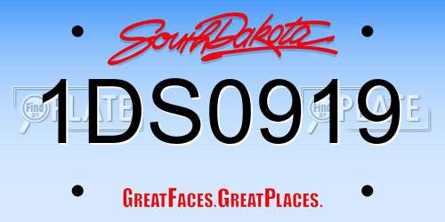 1DS0919 South Dakota License Plate