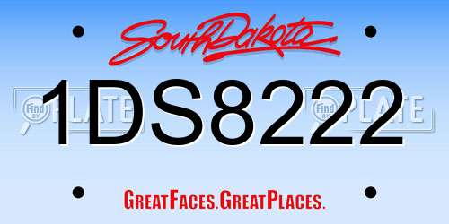 1DS8222 South Dakota License Plate