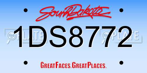 1DS8772 South Dakota License Plate