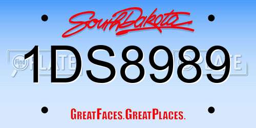 1DS8989 South Dakota License Plate