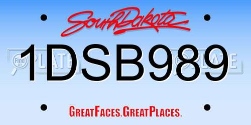 1DSB989 South Dakota License Plate