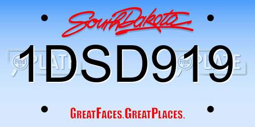 1DSD919 South Dakota License Plate