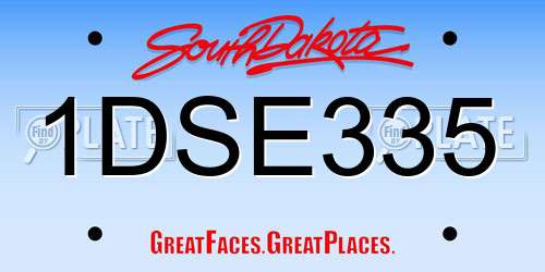 1DSE335 South Dakota License Plate