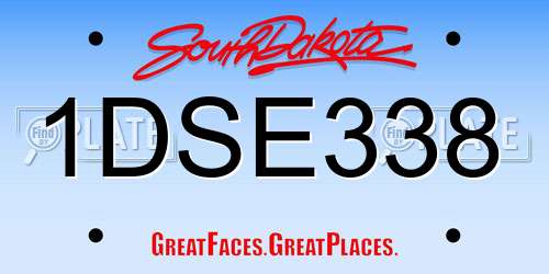 1DSE338 South Dakota License Plate