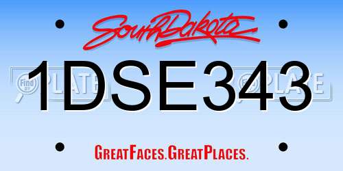 1DSE343 South Dakota License Plate
