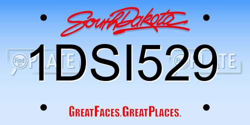 1DSI529 South Dakota License Plate