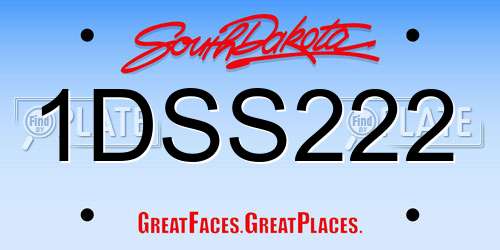 1DSS222 South Dakota License Plate