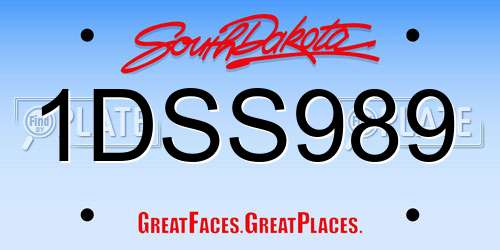 1DSS989 South Dakota License Plate