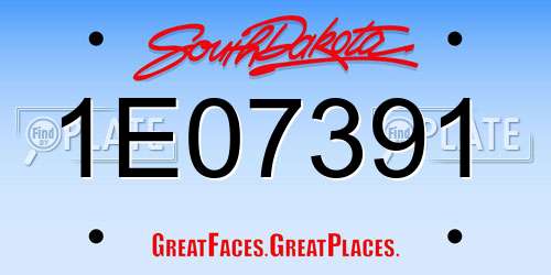 1E07391 South Dakota License Plate