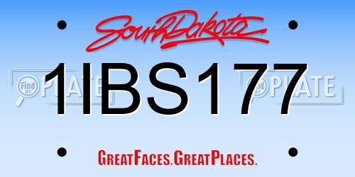 1IBS177 South Dakota License Plate