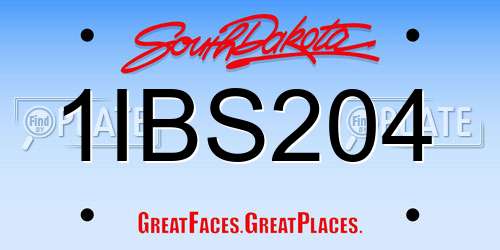 1IBS204 South Dakota License Plate