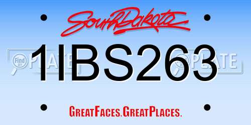 1IBS263 South Dakota License Plate