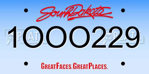 1OOO229 South Dakota License Plate
