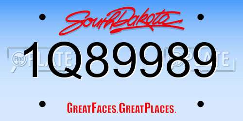 1Q89989 South Dakota License Plate