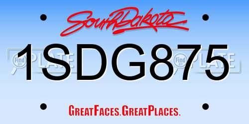 1SDG875 South Dakota License Plate