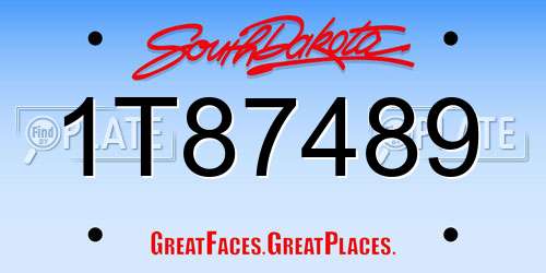 1T87489 South Dakota License Plate