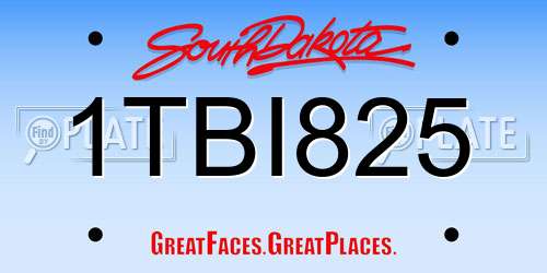 1TBI825 South Dakota License Plate