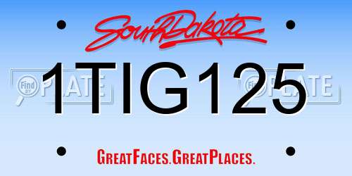 1TIG125 South Dakota License Plate