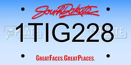 1TIG228 South Dakota License Plate