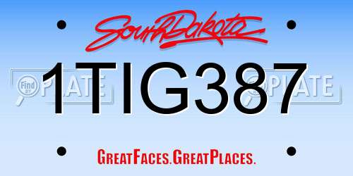 1TIG387 South Dakota License Plate