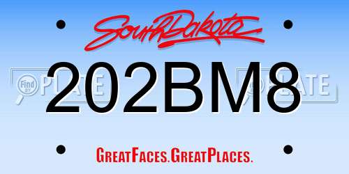 202BM8 South Dakota License Plate
