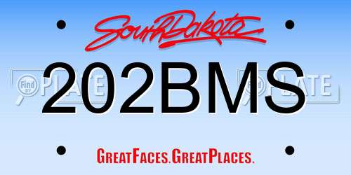 202BMS South Dakota License Plate