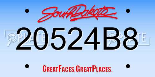 20524B8 South Dakota License Plate