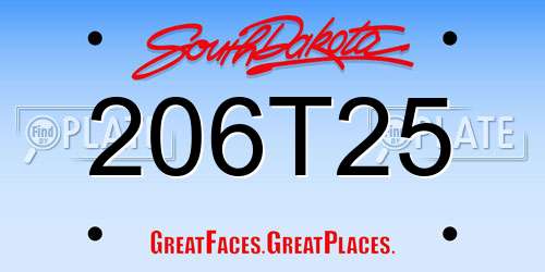 206T25 South Dakota License Plate