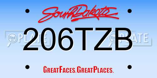 206TZB South Dakota License Plate