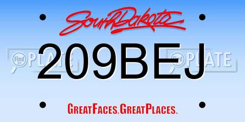 209BEJ South Dakota License Plate