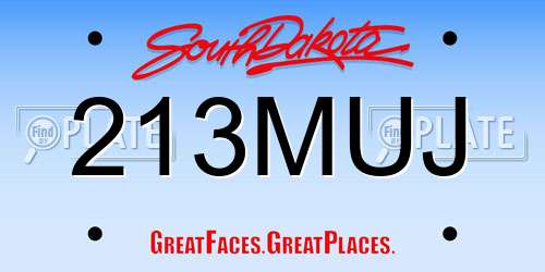 213MUJ South Dakota License Plate