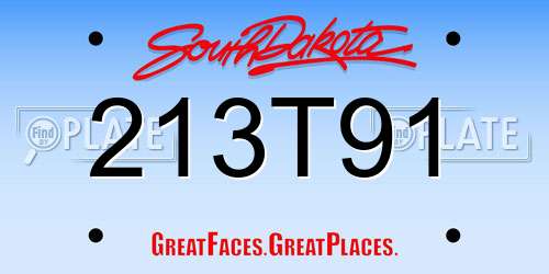 213T91 South Dakota License Plate