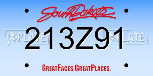 213Z91 South Dakota License Plate
