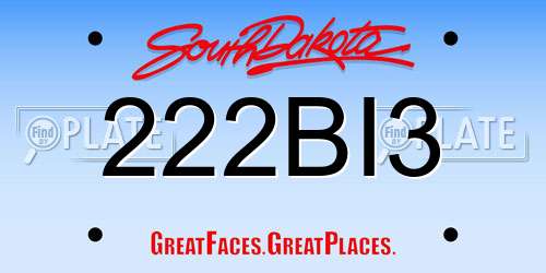 222BI3 South Dakota License Plate